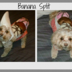 Banana Split