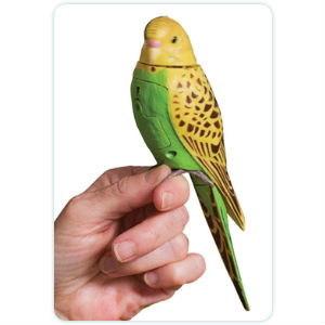 Perfect Polly Pet